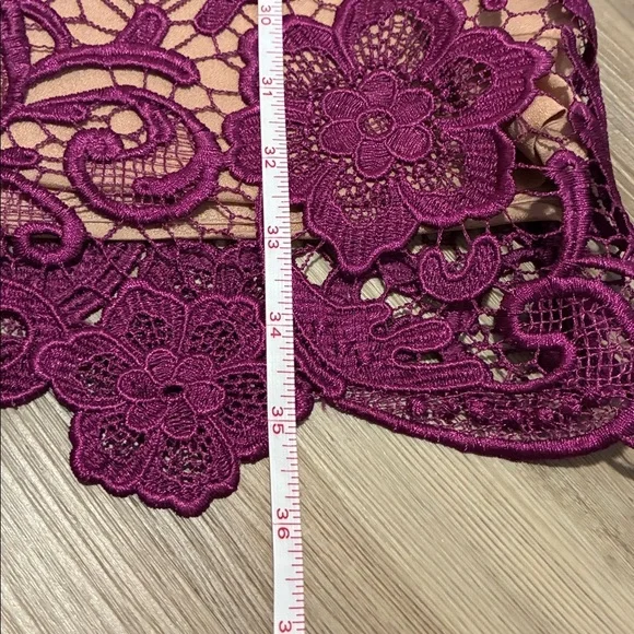 Dress The Population Anna mulberry & nude lace dress size S Cocktail Evening - Picture 8 of 9